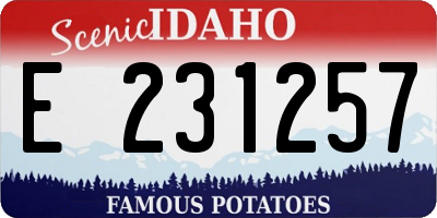 ID license plate E231257