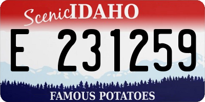 ID license plate E231259