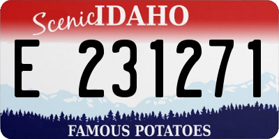 ID license plate E231271