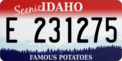 ID license plate E231275