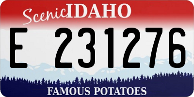 ID license plate E231276