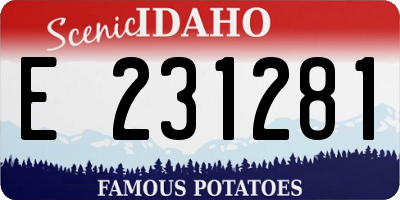 ID license plate E231281