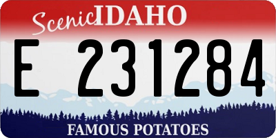 ID license plate E231284