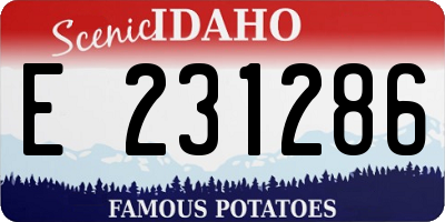 ID license plate E231286