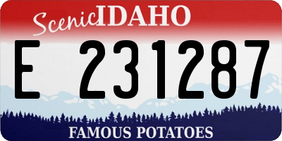 ID license plate E231287