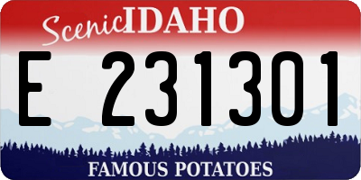 ID license plate E231301
