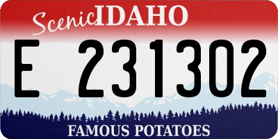 ID license plate E231302