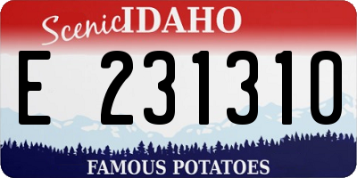 ID license plate E231310