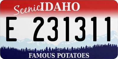 ID license plate E231311