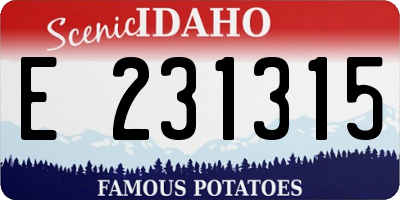 ID license plate E231315
