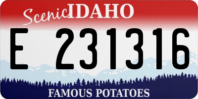 ID license plate E231316