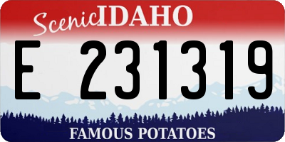 ID license plate E231319