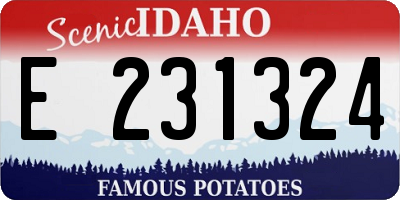ID license plate E231324