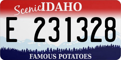 ID license plate E231328