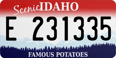 ID license plate E231335