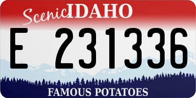 ID license plate E231336