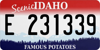 ID license plate E231339