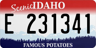 ID license plate E231341