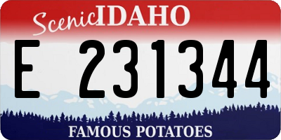 ID license plate E231344