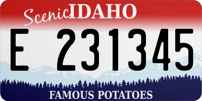 ID license plate E231345