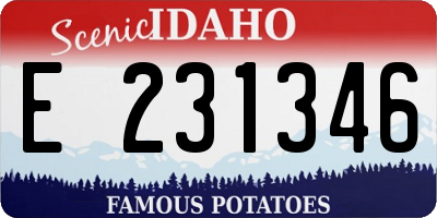 ID license plate E231346