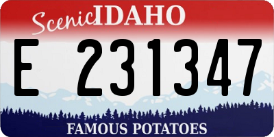 ID license plate E231347