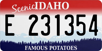ID license plate E231354