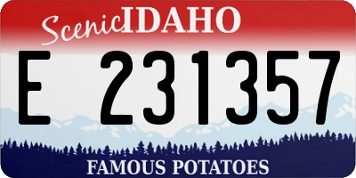 ID license plate E231357