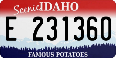 ID license plate E231360