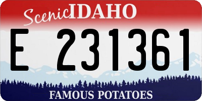 ID license plate E231361