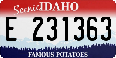 ID license plate E231363