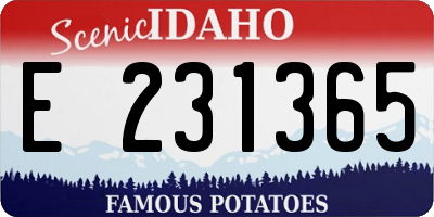 ID license plate E231365