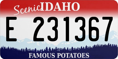 ID license plate E231367