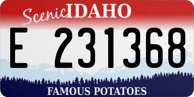 ID license plate E231368