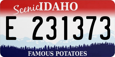 ID license plate E231373