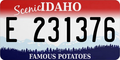 ID license plate E231376