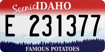 ID license plate E231377
