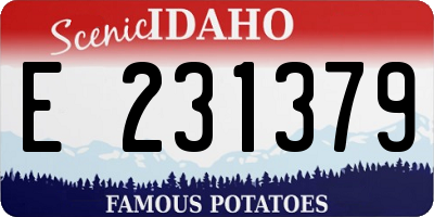 ID license plate E231379
