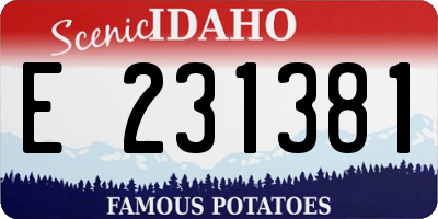ID license plate E231381