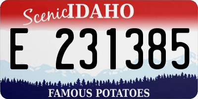 ID license plate E231385