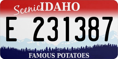 ID license plate E231387