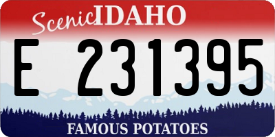 ID license plate E231395