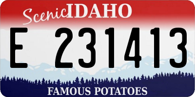 ID license plate E231413