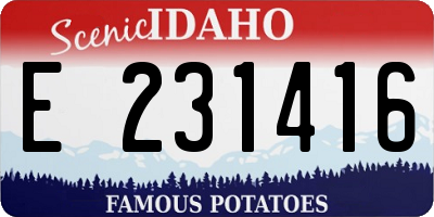 ID license plate E231416
