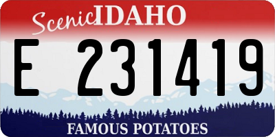ID license plate E231419