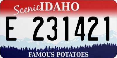 ID license plate E231421
