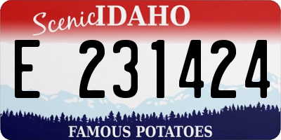 ID license plate E231424