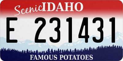 ID license plate E231431