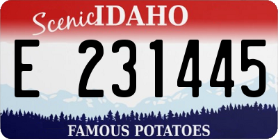 ID license plate E231445