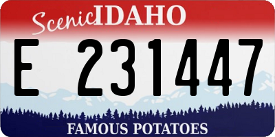 ID license plate E231447